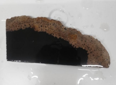 Slab Palm Wood